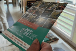 Des ouvriers agricoles victimes du Chlordécone en Guadeloupe, en quête d’indemnisation