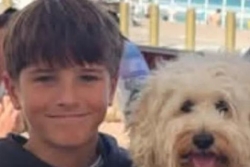 Le garçon mordu par un requin à Sydney est mort