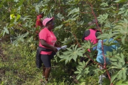Disparition inquiétante à Saint-Claude : un sexagénaire recherché activement depuis le 14 janvier