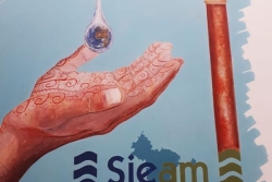 Procès du syndicat des eaux de Mayotte : des peines de prison requises contre Vitta "Bavi" Mouhamadi et son équipe