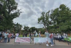 "On ne peut pas lutter avec un lance-pierre contre des kalashnikovs", le monde agricole de La Réunion exprime son "ras-le-bol"