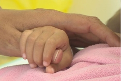 Prévention des violences sexuelles : l'association le Colosse aux pieds d'argile poursuit son action en Guadeloupe