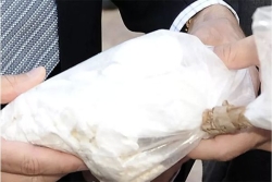 Trafic de cocaïne : un réseau démantelé entre la Guadeloupe et la Loire-Atlantique