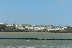 Lutte contre les sargasses : le barrage au large d'Arnouville fait son retour avant les premiers échouements