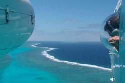 Lancement d'une vaste campagne d'observation aérienne des grandes espèces marines en Polynésie française