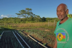 PORTRAIT. Éleveur, agriculteur, transporteur : rencontre avec l'infatigable Drazine Qaeze, à Lifou