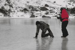 "De l'émotion et des connaissances scientifiques" : à travers des sons, artistes et chercheurs s'associent pour valoriser la biodiversité 