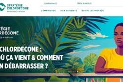 Lancement du portail chlordecone-info.fr : un accès simplifié à l’information pour mieux se protéger
