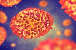 Variole du singe : l'OMS au côté des services de santé malgaches pour lutter et prévenir