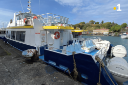 Transport maritime : des liaisons toujours impactées par la houle ce jeudi 