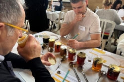 " C’est un miel exceptionnel avec des notes de fruits ", le miel de litchi de La Réunion rafle la mise au concours des miels de France