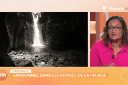 Randonnée dans les Gorges de la Falaise en Martinique