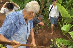 "La terre c'est notre richesse" : Napole mise sur la transmission du savoir-faire