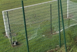 "Un chien s'est bloqué dans le filet et l'a massacré", la nouvelle cage du stade Godra à Kani-Kéli déjà dégradée