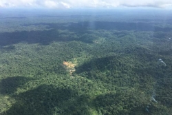 Braquage d'un site minier dans l'ouest guyanais non loin de Saint-Laurent-du-Maroni