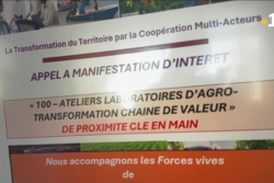Production raisonnée et collaborative : vers la concrétisation des projets de tiers-lieux à Marie-Galante
