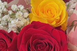 Saint-Valentin en Guadeloupe : la rose reste reine, mais les cadeaux se partagent de plus en plus