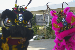 Nouvel an chinois, le cheval de feu promet une année explosive et le succès à ceux qui savent saisir les opportunités