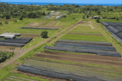 Après plusieurs jours sans eau, les agriculteurs de Papara tirent la sonnette d'alarme