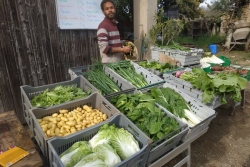  "J’ai encore ce rêve de participer à l’autosuffisance de la Martinique", Lucas Théodose, Martiniquais, maraîcher installé dans l’Isère depuis six ans