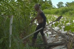 Leptospirose : 32 cas depuis début 2026 dont un décès, attention aux symptômes semblables à la grippe 