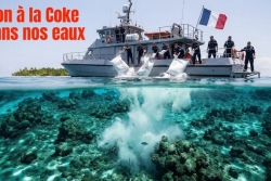 11,5 tonnes de cocaïne interceptées en Polynésie : le Tavini Huiraatira critique la méthode de destruction