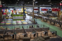 Salon de l’Agriculture 2026. "On espère avoir beaucoup de passages" : Saint-Pierre-et-Miquelon confronté à des problèmes de douanes mais fier de son retour à Paris 