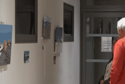 Miquelon : une exposition d’art local à découvrir à la Maison de la Nature et de l’Environnement dès ce 20 février