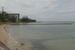 REQUIN. Au lendemain de l'attaque mortelle, l'émotion en Nouvelle-Calédonie