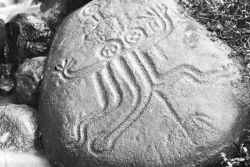 Le patrimoine polynésien à l'honneur avec la victoire du pétroglyphe de Tīpaeru'i