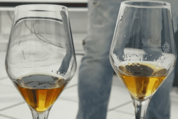 Concours général agricole 2026 : la Martinique obtient 33 médailles pour ses rhums, une pour sa bière et une pour son hydromel