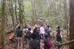 Un nouveau sentier créé à Kourou par le CNES et l'ONF