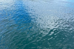 Retour au vert sur le littoral nord de la Martinique, la houle s’atténue