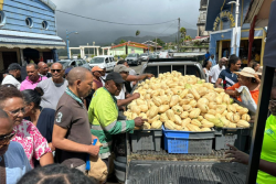 Au Morne-Rougela christophine à prix cassé fait le plein