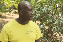 Jean-Paul Mortin, menacé d'expulsion sur un terrain de Matoury : « Je veux retrouver ma vie d’antan, ma parcelle, mon domaine »