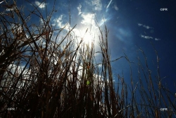 Climat : les Outre-mer dotés de projections inédites pour anticiper le réchauffement