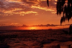  L'augmentation de la chaleur humide, un risque mortel en Outre-mer