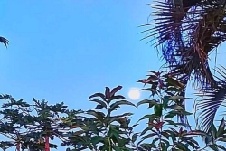 La Réunion : du soleil ce matin, des nuages accompagnés d'averses cet après-midi et 33 °C