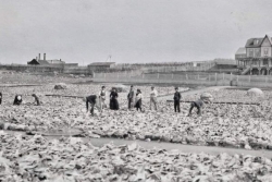 L'enfance sacrifiée des petits graviers