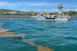 Le Sargator III arrive en mer pour augmenter la collecte de sargasses sur la façade atlantique