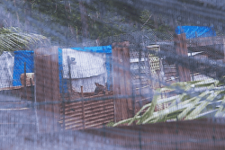 Afaahiti : le Pays ordonne la fermeture du chenil illégal