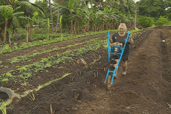Projet de loi sur les pesticides : le Syndicat des agriculteurs de Polynésie s’y opposent