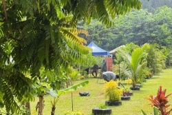 Un Futari spécial pour la Journée des femmes au domaine Badja à Combani