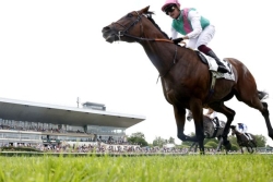 Les pronostics du Quinté + de Saint-Cloud du 10 mars 2026 par Pascale Remond-Lamie