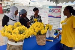 Un marché solidaire toute la semaine pour lutter contre le cancer
