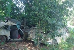 Dépôt illégal d’épaves : une enquête ouverte à Petit-Bourg après la découverte de 42 carcasses de voitures