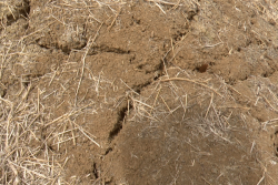 Une « activité météorologique sévère » prématurée en Caraïbe cette année, d’après des spécialistes du CARICOF