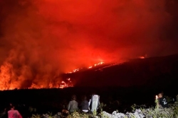 Piton de la Fournaise : le front de coulée reprend sa progression et se situe à moins de 700 mètres de la RN2