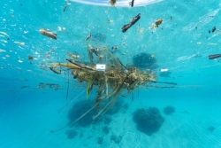 Une conférence pour comprendre la pollution du lagon de Mayotte par les micro-plastiques