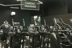 VIDEO. Semaine nationale du rein : les médecins alertent sur les dangers des boissons énergisantes